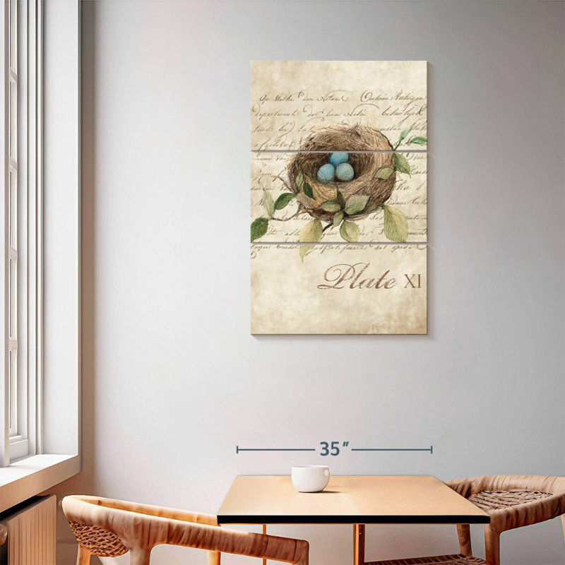 Brampt Bird Nest Study, 57" H x 36" W