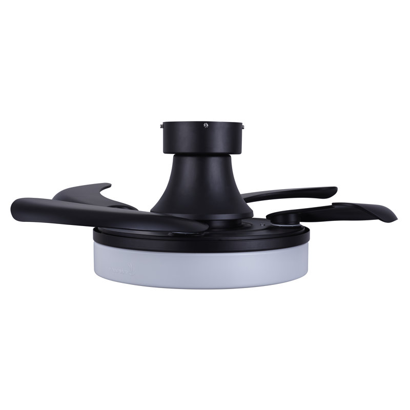 Scheryl 36'' Ceiling Fan with Light Kit, Matte Black