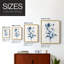 Indigo Wild Roses II, reproduction encadrée - bois massif-112364813-112364817
