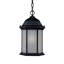 Lanterne suspendue d'extérieur 1 lumière H 14 po Pruitt-26243306-26243310-26243313