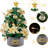 Mini Christmas Tree with Lights: 2ft Tabletop Christmas Tree, Small Artificial Xmas Tree with Star Treetopper, LED String Light & Hanging Ornaments, for Desk Christmas Decors Home Office Party