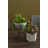 36cm Faux Succulent Plant in Stone Planter