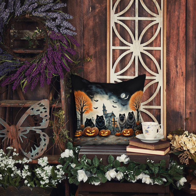 Housse et insert de coussin décoratif en polyester, 14 po x 14 po