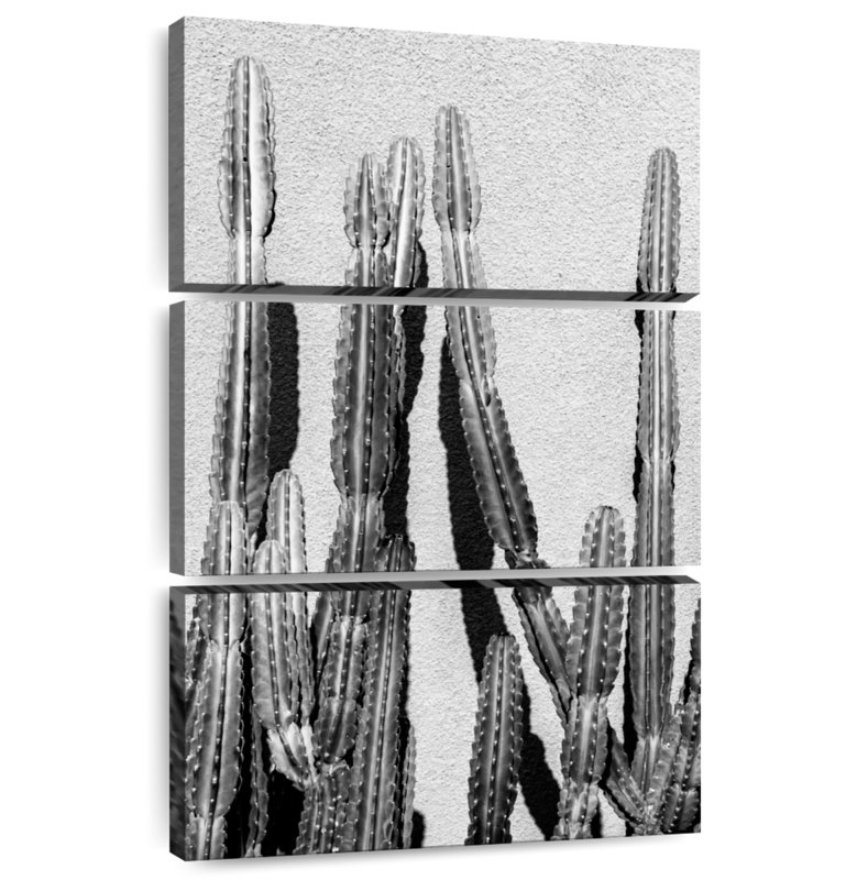 Cactus noir Harnek, H 32 po x l 20 po