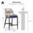 George Oliver Patio Aluminum Counter Height Bar Stools 24" H With Upgraded Fabric Cushion-487796445-472234331