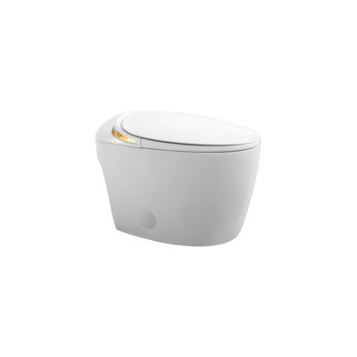 VIBRANTBATH GPF Elongated Bidet Toilet