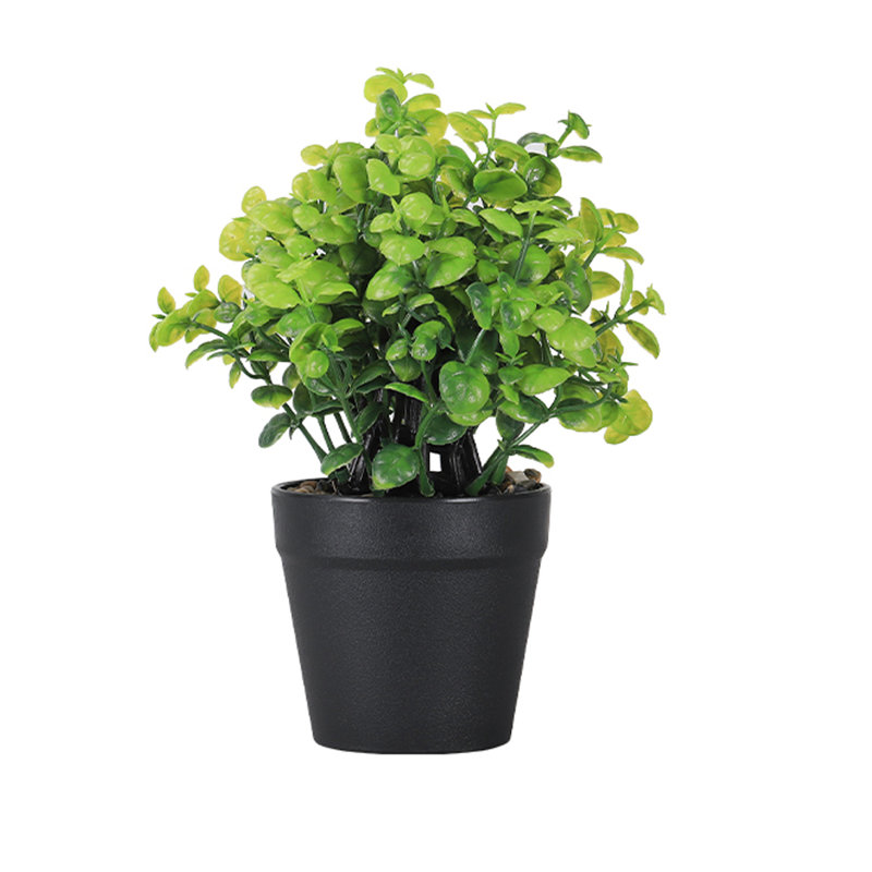 Plante artificielle verte en pot