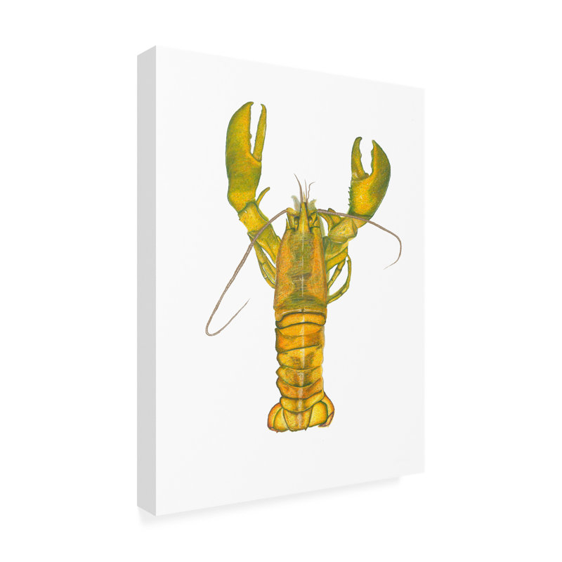 Art sur toile, homard bolognaise Durodola, H 18 po x l 24 po