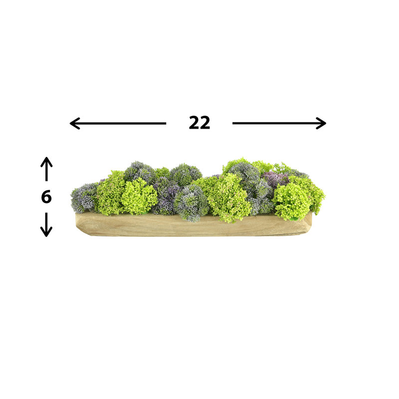 Arrangement de Sedum dans un pot à fleurs rectangulaire en bois