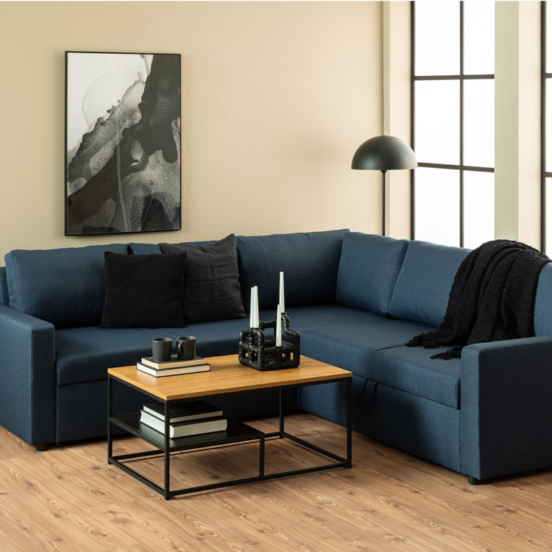 Placeeda Frame Coffee Table with Storage