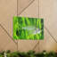 No Frame Print on Canvas
