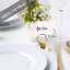Ensemble de 60 feuilles de place rosées et verdoyantes pour tables de fête de mariage