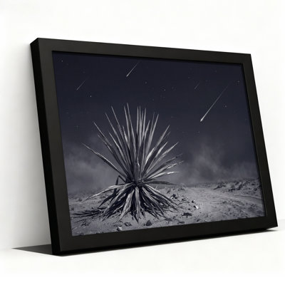Tableau sur toile représentant une plante d'agave noire et blanche sous des étoiles filantes