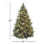Carolina Flocked/Frosted Christmas Tree-1687330705