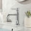 Robinet de salle de bain à poignée simple à fixation sur comptoir avec ensemble de drain Maesson - Chrome poli-122356294