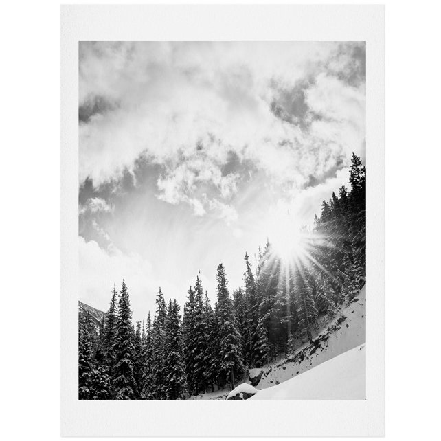 «Bird Wanna Whistle White Mountain», reproduction de photo, H 10 po x l 8 po x P 0,01 po, Affiche