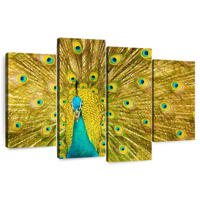 Brampt Glorious Peacock Feather