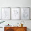 Milkweeds I - Impression personnalisée de qualité supérieure avec cadre - 3 pièces-707362109-707362113
