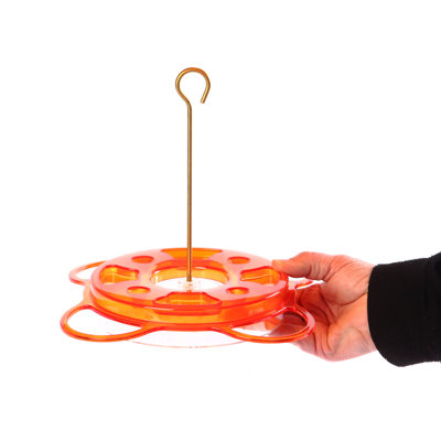 Birds Choice 12 oz. Mangeoire Oriole-Fest avec protection contre les intempéries, orange