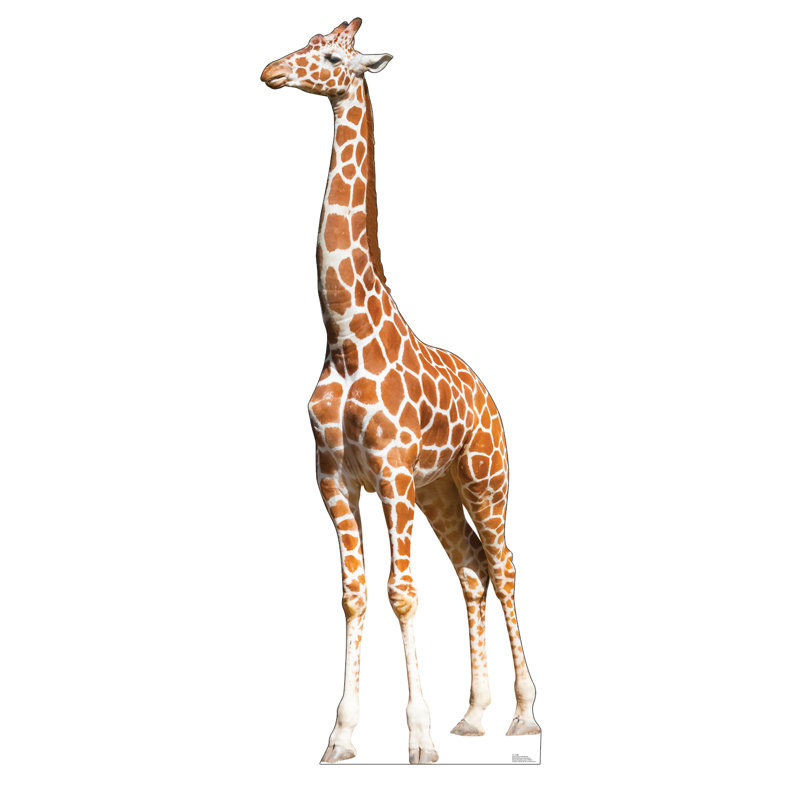Girafe en carton