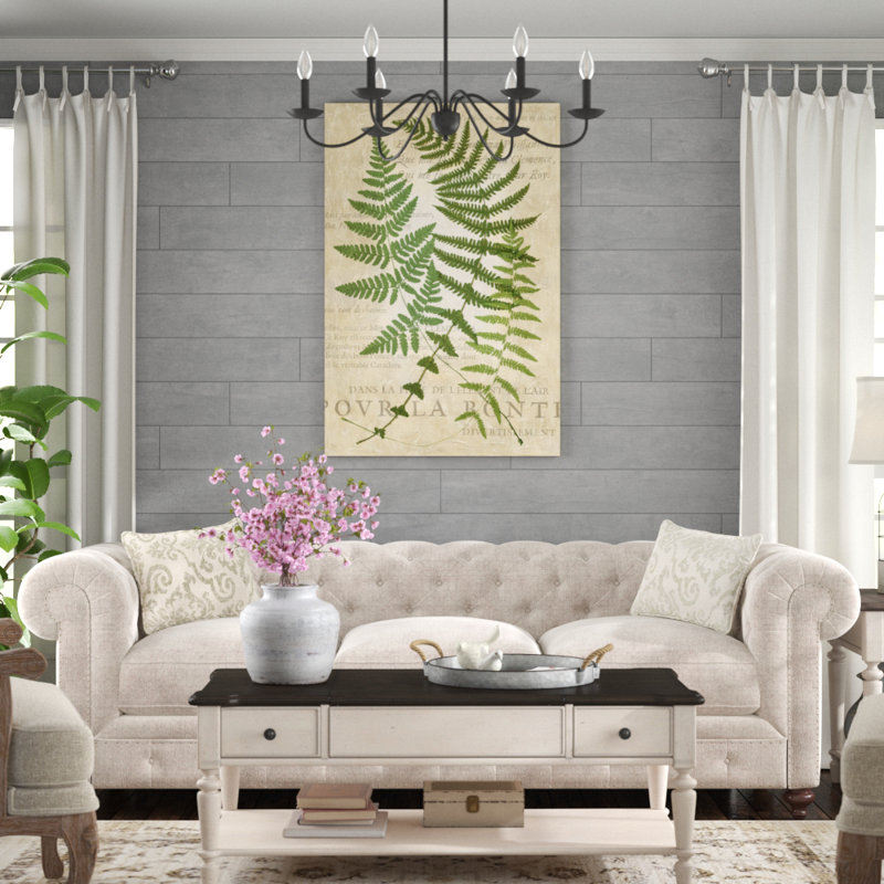 Fern Folio I by Vision Studio - Painting Print, 122cm H x 81cm W, Black Floater Framed
