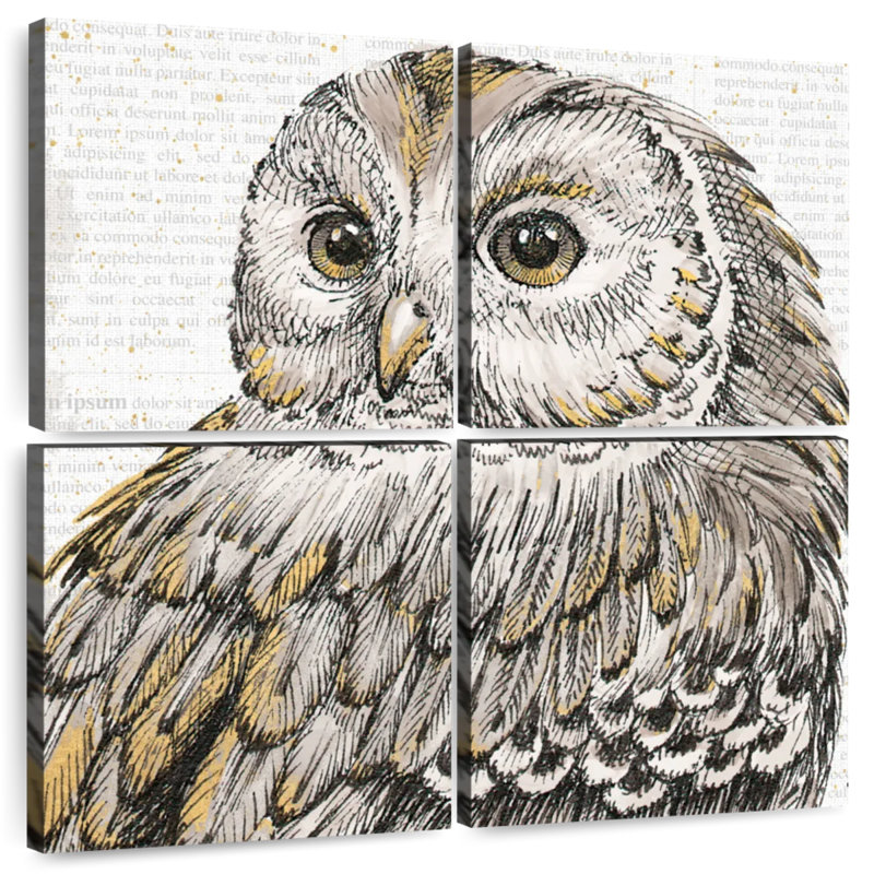 Brampt Beautiful Owls I, H 26 po x l 26 po