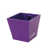 Purple is out of stock