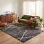 Tapis d'intérieur / géométrique gris / blanc à motif géométrique de 8 pi x 11 pi (7 pi 9 po x 10 pi 9 po) Branch Branch Arden-809757745