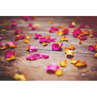 Beautiful Rose Petals by Knape