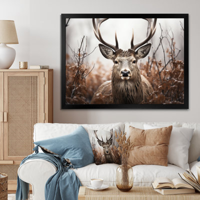 Deer Monochrome Photography II - Animals Wall Decor