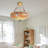 5 Light Dimmable Vintage Dragonfly Stained Glass Semi-Flush Mount Chandelier