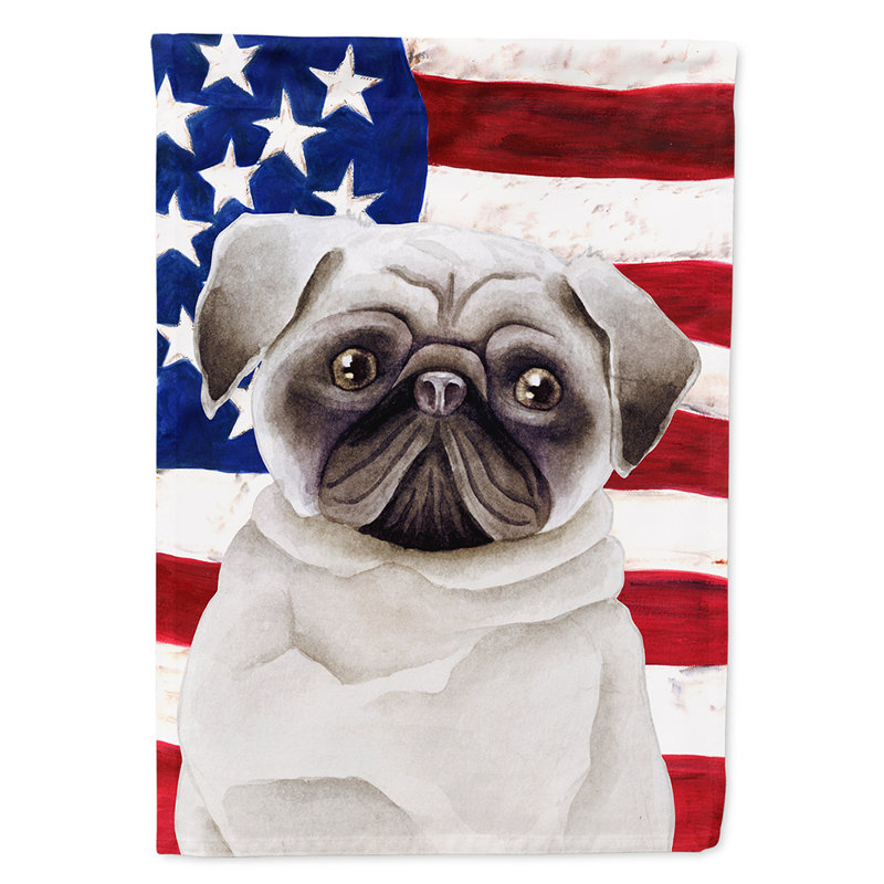 2 côtés en polyester de 2 côtés american drapeau de jardin, Carlin gris clair
