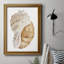 Coquillage I - reproduction d'art sur toile-339200035