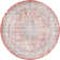 Oriental Indoor Rug