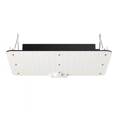 Lumière de croissance DEL 150 W, puces Samsung 281B + PRO pour la culture de plantes d'intérieur, à intensité variable, lampe de culture à haut rendement, pilote en chaîne, tente de culture 3 x 3 pi