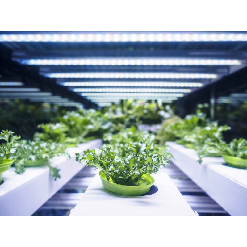 FeitElectric Grow Light, 2.55" H x 24.35" L x 2.65" D