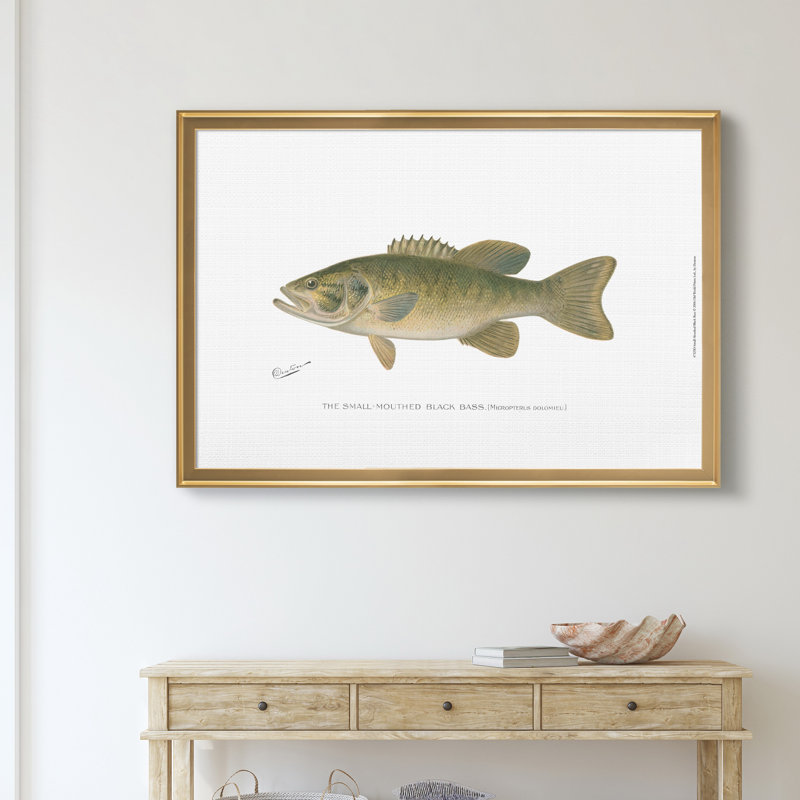 Petite basse noire - reproduction de cadre photo sur toile, Doré, H 30,5 po x l 42,5 po x P 1,5 po