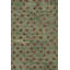 Genevive Modern Floral Wool Rug-1298504501