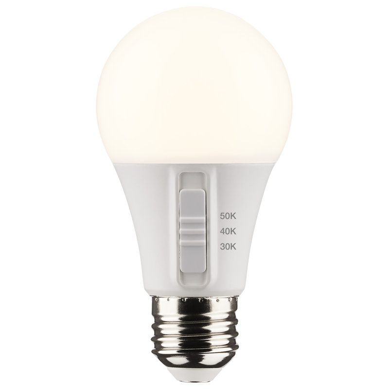9 Watt LED Bulb