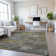 Premium Machine Washable Elize AMF1393 Modern Rug