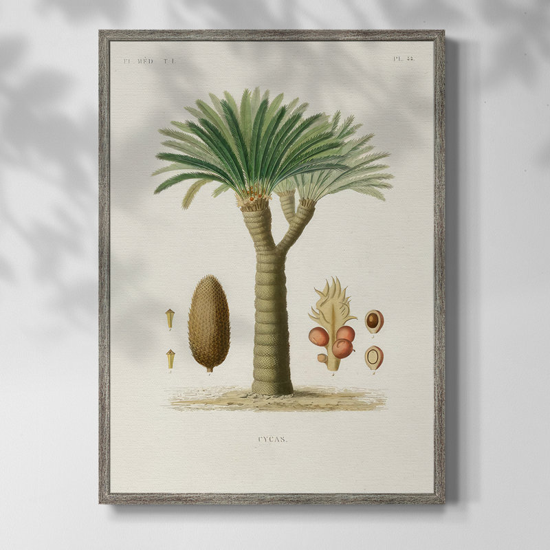 Arbre antique avec fruit, impression encadrée en V - bois massif, H 15 po x l 12 po