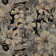 Splash Fabric