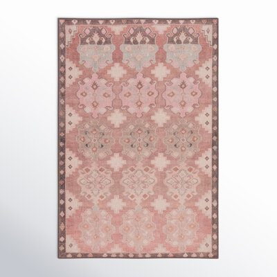 Asuncin Polyester Machine Washable Performance Rug