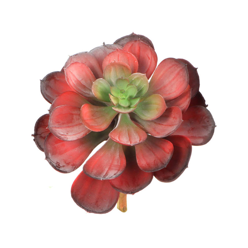 Mott 6.5'' Tall Succulent, Burgundy Green