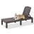 Machiel Outdoor Chaise Lounge