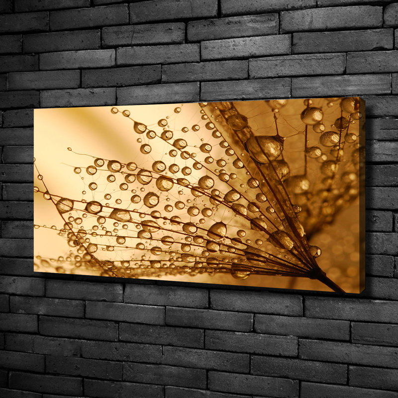 Dandelion Seeds - Wrapped Canvas Print