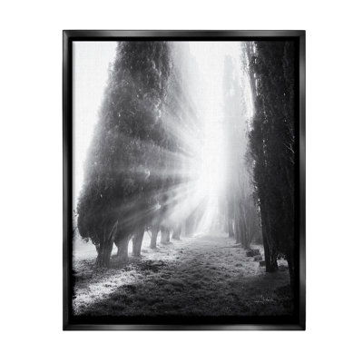 "Sun Rays & Hedge Grove Floater Frame" par Aledanda sur toile