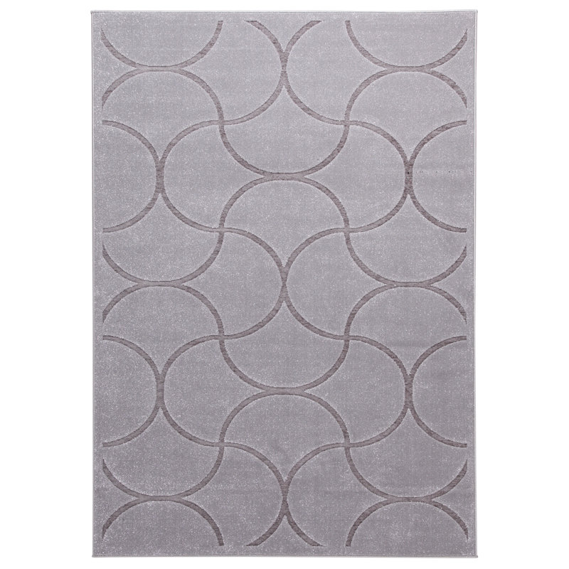 Pinaud Rectangle 160 cm x 230 cm Geometric Area Rug