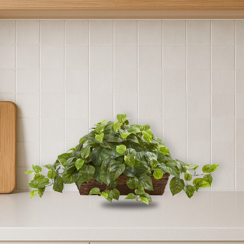 Pothos Silk Plant with Ledge Basket