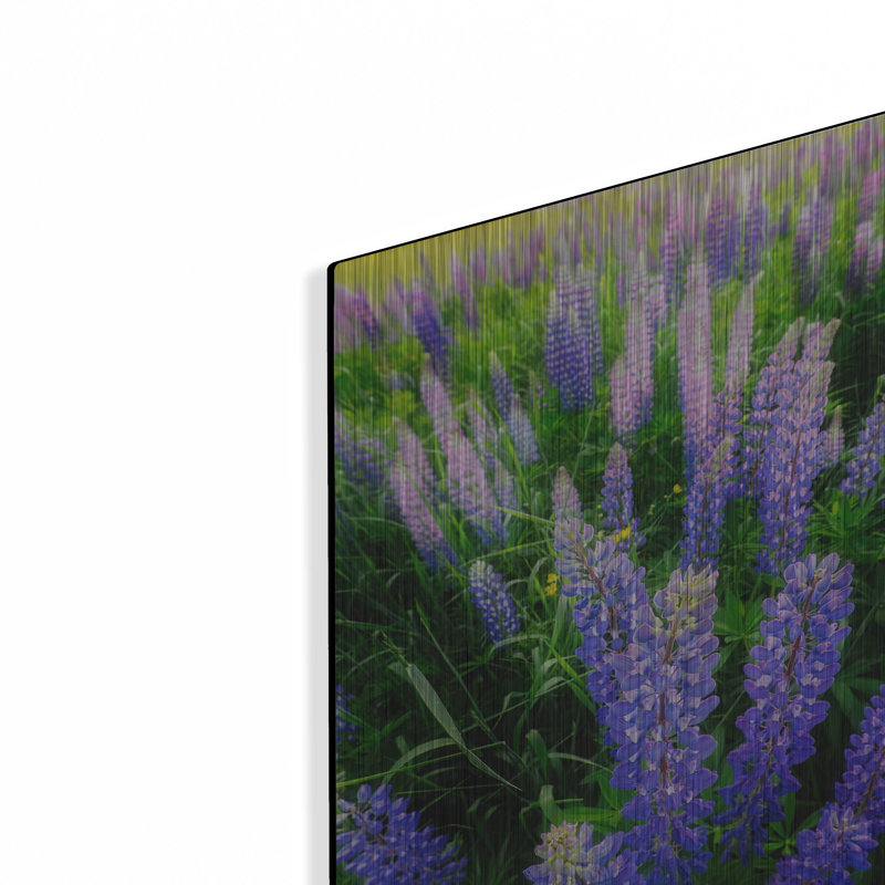 Mur de métal «Lupins» par Rick Berk, H 16 po x l 12 po
